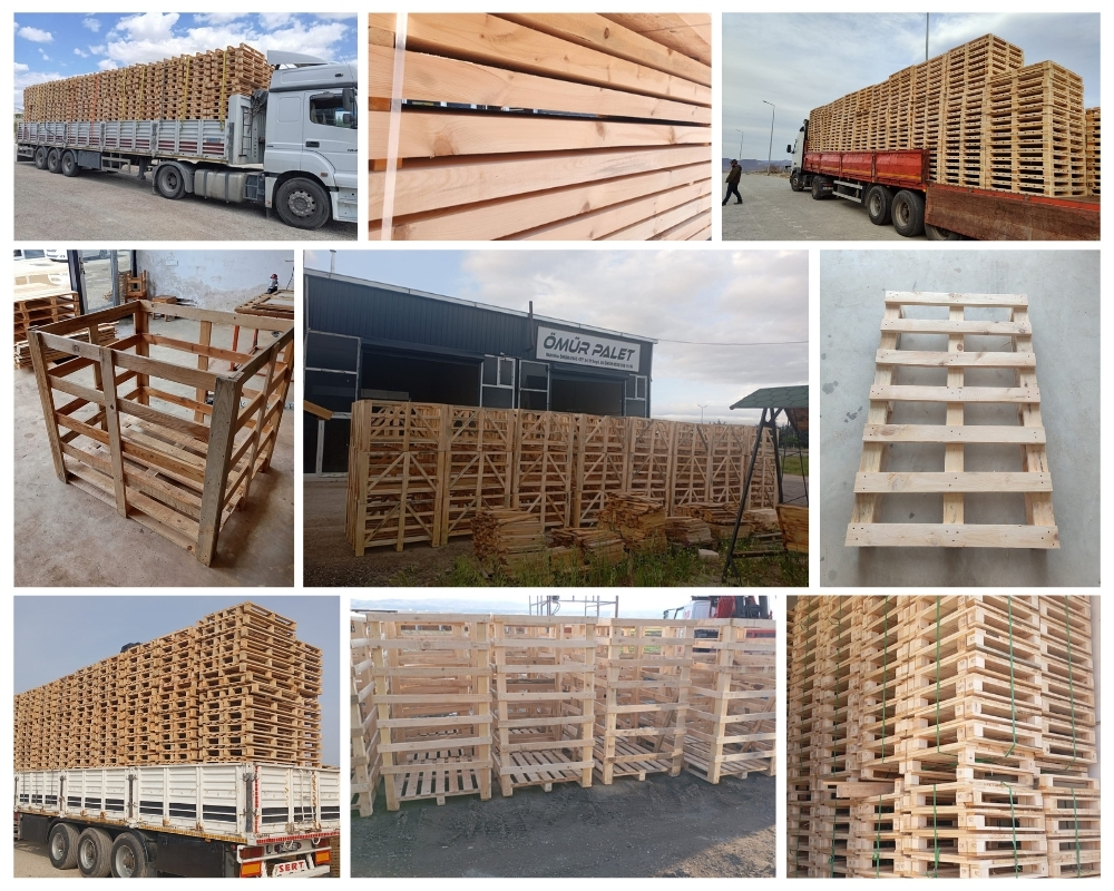 Sassenheim Houten Kisten, Europallets Groothandel Kopen